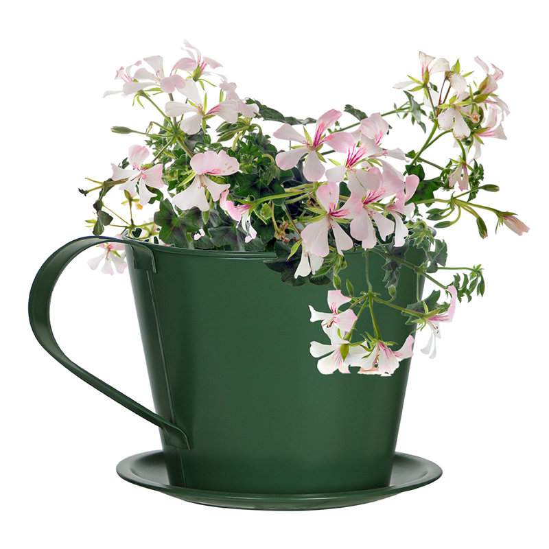 Soriano Metal Plant Pot, Green