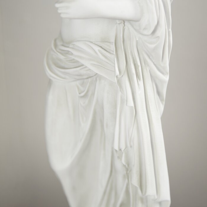 Design Toscano Venus of Arles Gallery Statue in White & Reviews | Wayfair