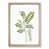 Oak Framed selected