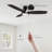 Leoben 52'' Ceiling Fan with LED Lights
