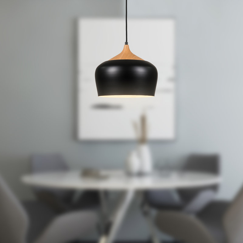 Luminaire suspendu en forme de dôme à 1 lumière Shakopee