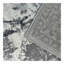 Tapis Shifra-1938410419