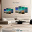 Alvord Snowy Mountain Aurora-108836606