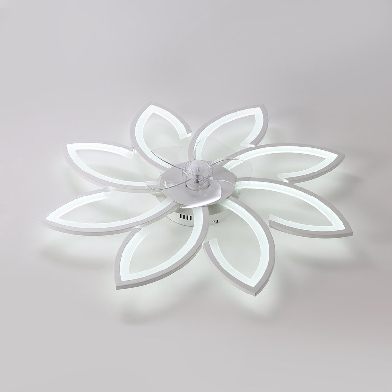Ceiling Fan with LED Lights