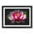 Black Framed selected