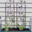 Treillis de jardin rustique en acier brun pour plantes grimpantes
