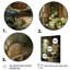 Corenzo Bathroom Natures Retreat I - Art mural encadré pour salle de bain-1198597642-1198597643