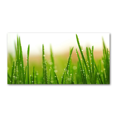 Grass - Wrapped Canvas Print