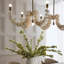 Kalama 8 - Light Pendant