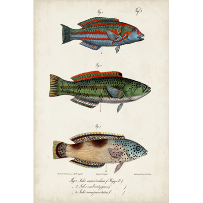 Trio de poissons antiques I