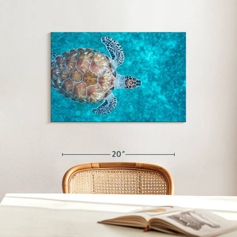 Natation tortue imbriquée, H 16 po x l 24 po
