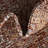 Outdoor Nile Area Rug Rust Color-1720365856