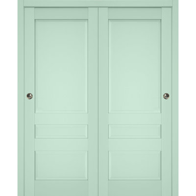 Veregio Paneled Wood Sliding Closet Doors