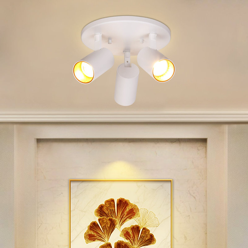 3-Light Integrated Flush Mount Spot Lights, Dimmable, 36W, Multi-Directional, CRI90+, Warm White