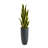 42 " H Faux Snake Plant