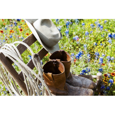 Texas Bluebonnets by Fstop123