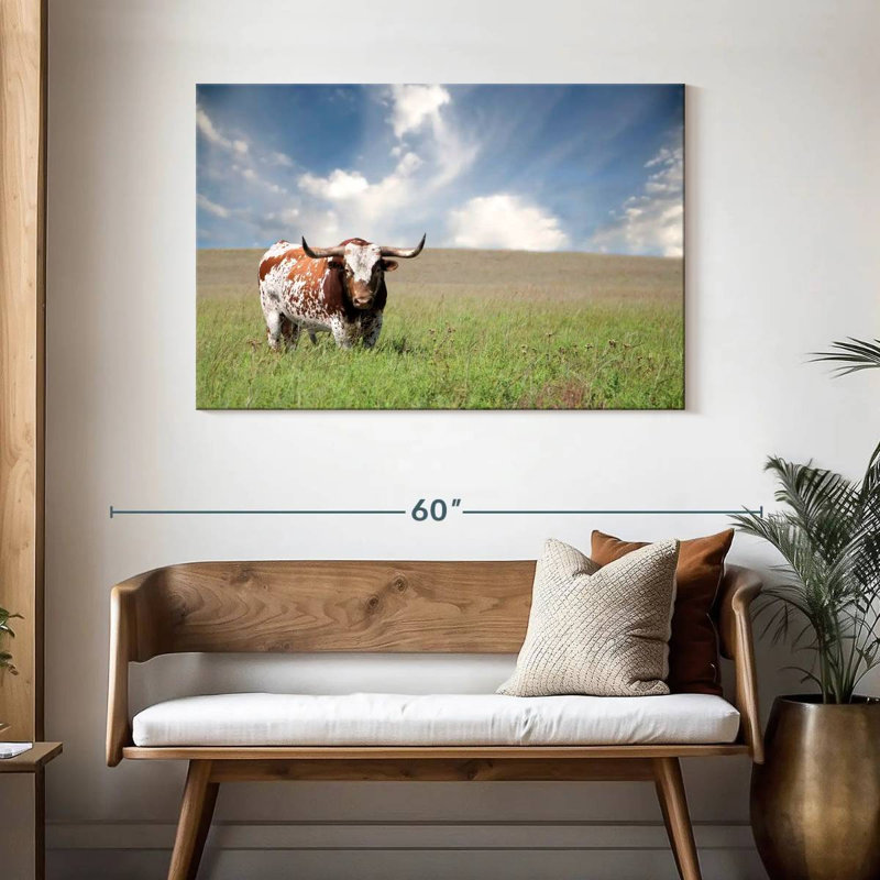 Oklahoman Texas Longhorn, H 30 po x l 45 po