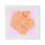 Hibiscus Cotton Sateen Dinner Napkins