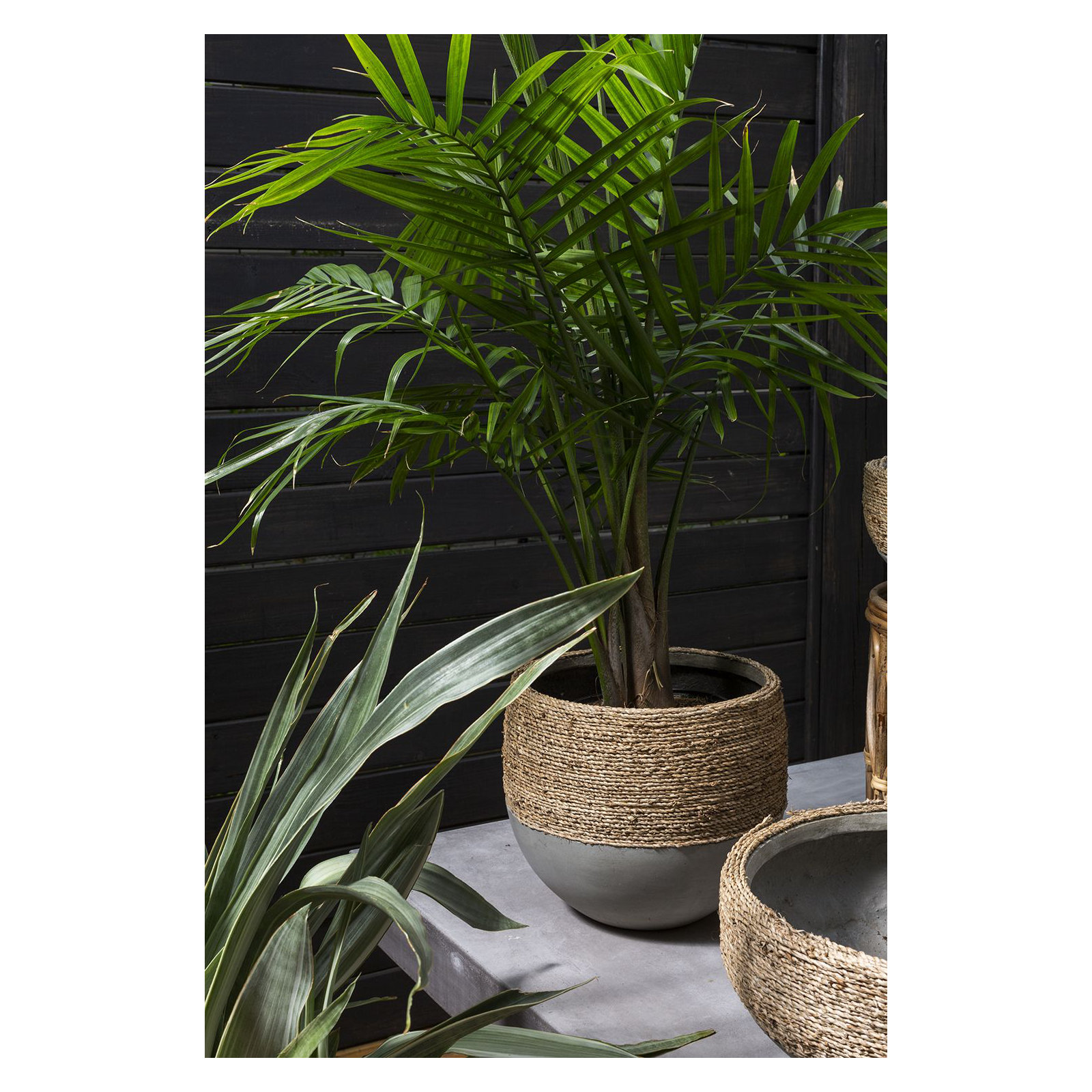Concrete Pot Planter, 11.5" H x 12" W x 12" D