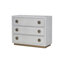 Console Anpu