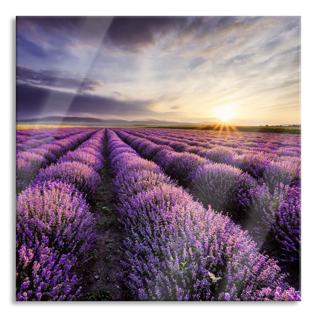 Glasbild Traumhafte Lavendel Provence