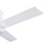 Ventilateurs de plafond 48 po