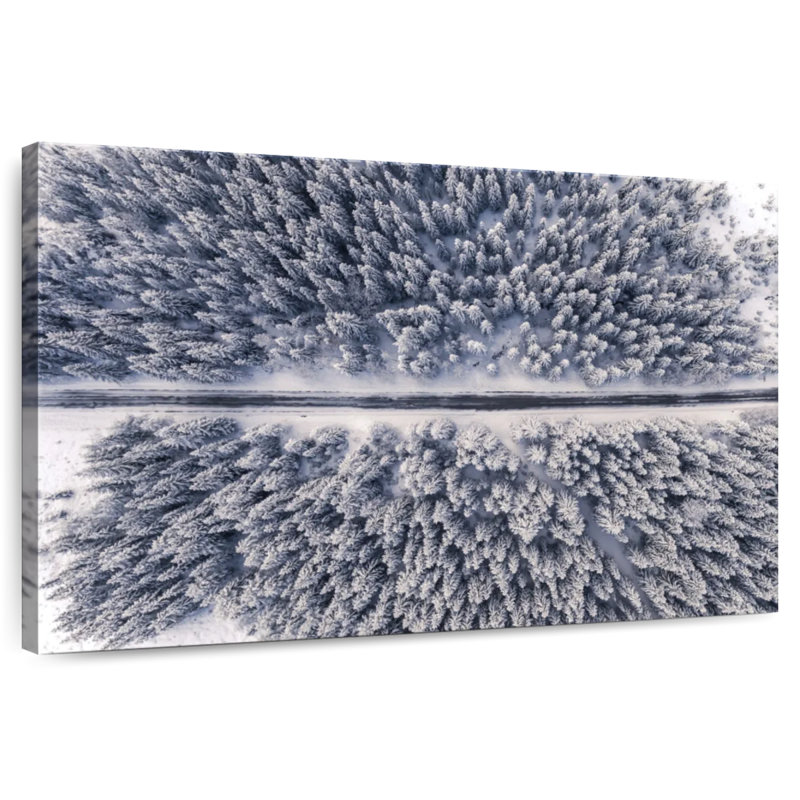 Alvord Winter Pines Road, H 16 po x l 24 po