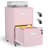 2 Drawer Rolling File Cabinet on Wheels, Pink Mobile Two Drawer Filing Cabinet with Lock, Small Files Cabinets for Under Desk, Metal Filing Cabinets for Letter Size Folders-1479775437