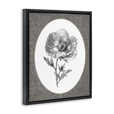 Anemone Sprig Vignette, reproduction d'art encadrée sur toile flottante encadrée