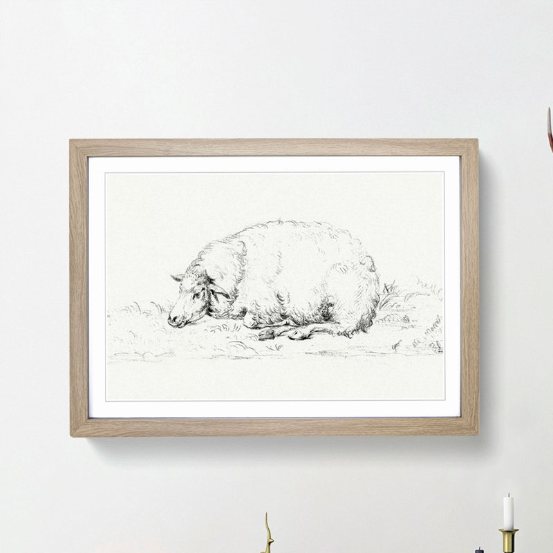 Resting Sheep by Jean Bernard - Picture Frame Drawing Print on MDF, 36cm H x 48cm W x 2cm D, Oak Framed