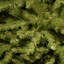 9'' Dunhill Fir Slim Tree-1562387558