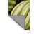 Washable Canary Melon Fruits Area Rug-1378988533