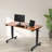 Fontclair Adjustable Metal Base Standing Desk-1808896555-1808896551