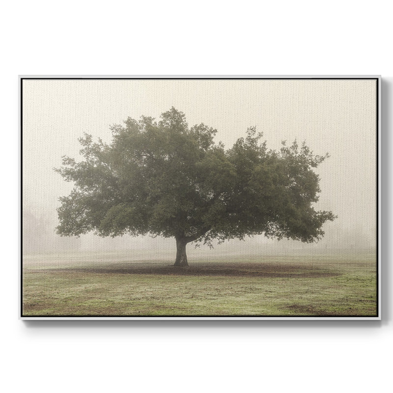 Arbres dans le brouillard II, Toile avec cadre blanc, H 27 po x l 41 po x P 2 po