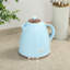 HOMCOM 1.7L Electric Tea Kettle-63358115