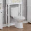 Carruthers 68.58cm x 93.98cm Over the Toilet Shelf