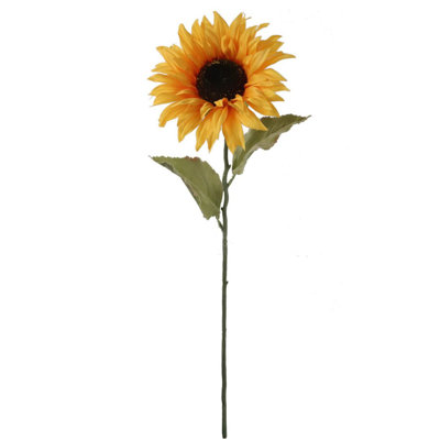 Sunkissed Sunflower Stem