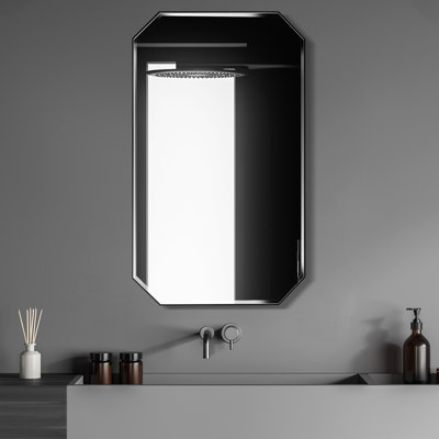 Gerelene Stainless Steel Frame Mirror