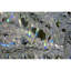 Lustre lumière branche de glace-90634165-90634153-130741860