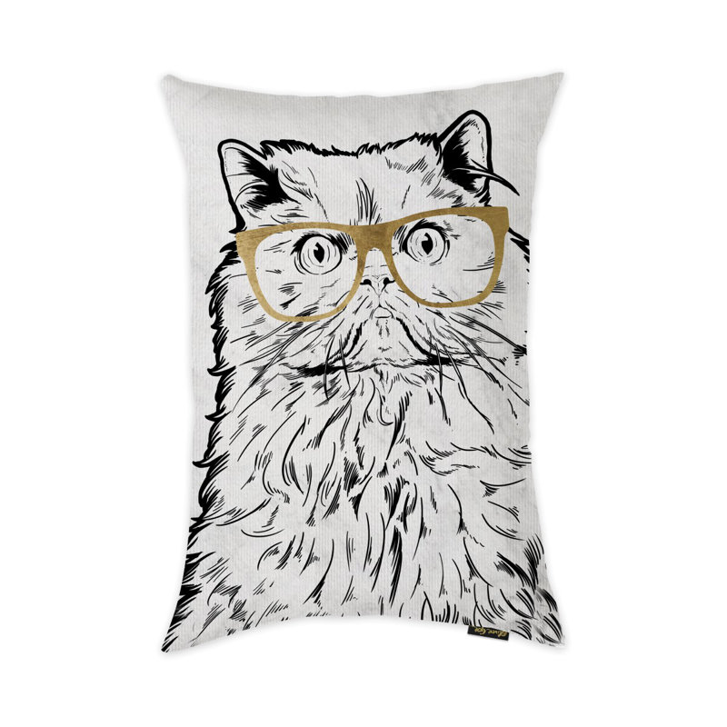  Coussin chat avec lunettes