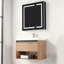 Khaleia 30" Wall Mounted Bathroom Vanity with Acrylic Sink – Modern Design Floating Wood Vanity Cabinet with LED Lights – Soft-Close Storage & Integrated Basin-1815414033