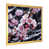 Gold Single Picture Framed