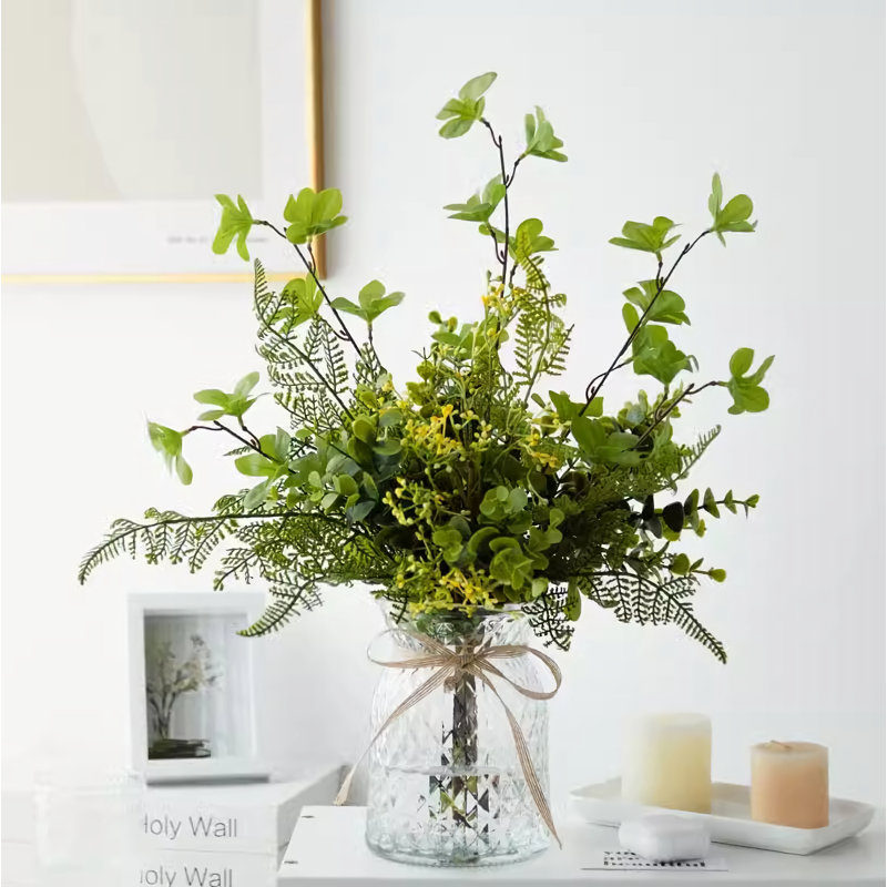 17,72 plante