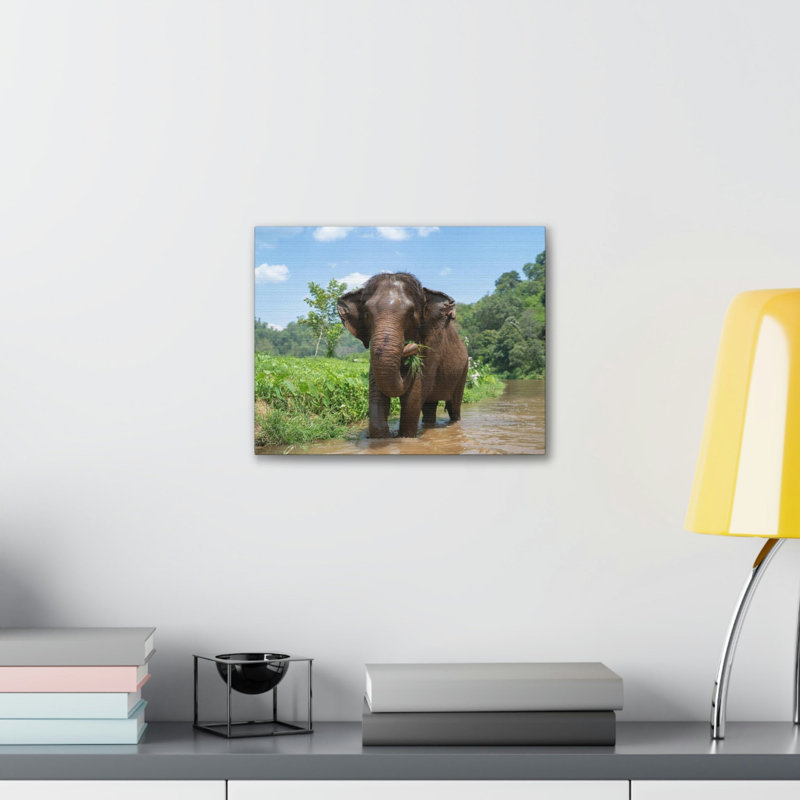No Frame Print on Canvas, 30.48cm H x 40.64cm W