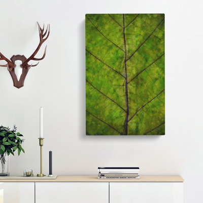 Leaf Lines - Wrapped Canvas