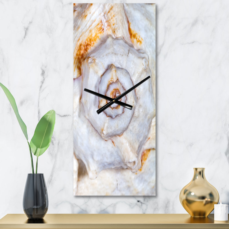 Grand squelette de coquillage - horloge murale moderne, Grand