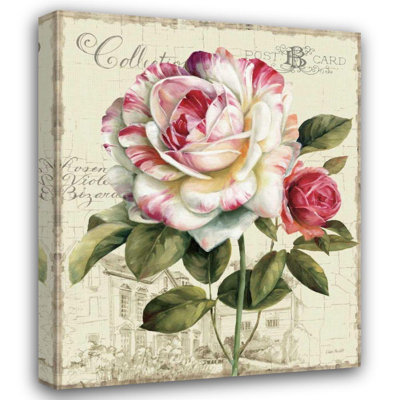 August Grove® Audit, Lisa Gallery Wrapped Canvas Art Titled: Garden View III, Rose