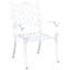 Outdoor Patio Dining Armchair-437438677