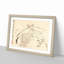 Flowers Vol.4 by Wang Shishen - Picture Frame Painting Print-55576513-55576514