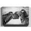 Zebra Wildlife - Wrapped Canvas-19093100